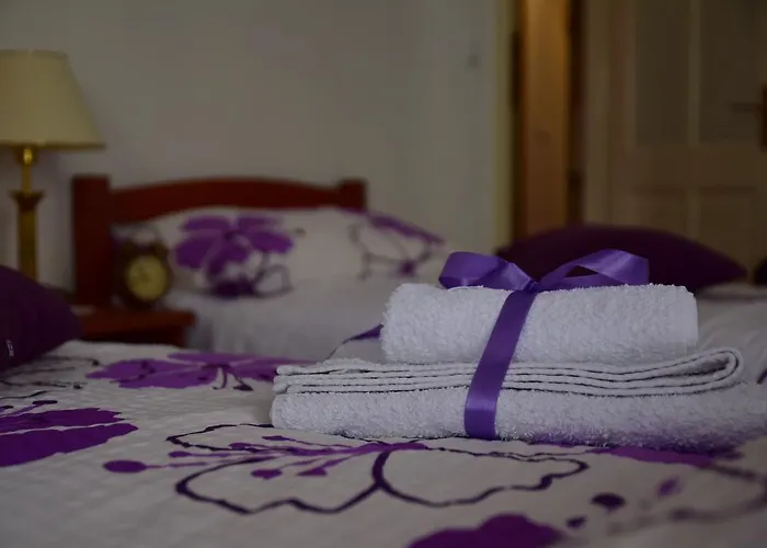 公寓 Dona Vesna 杜布罗夫尼克